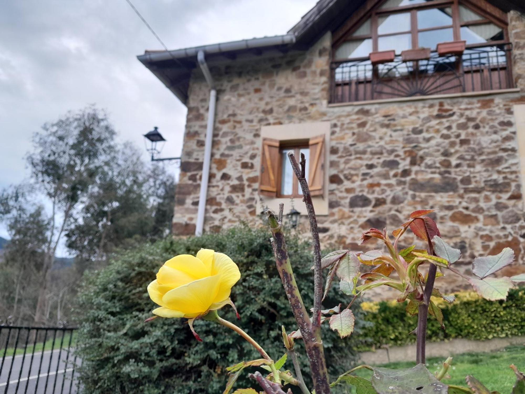 Pensjonat Urrezko Ametsa Sopuerta Zewnętrze zdjęcie