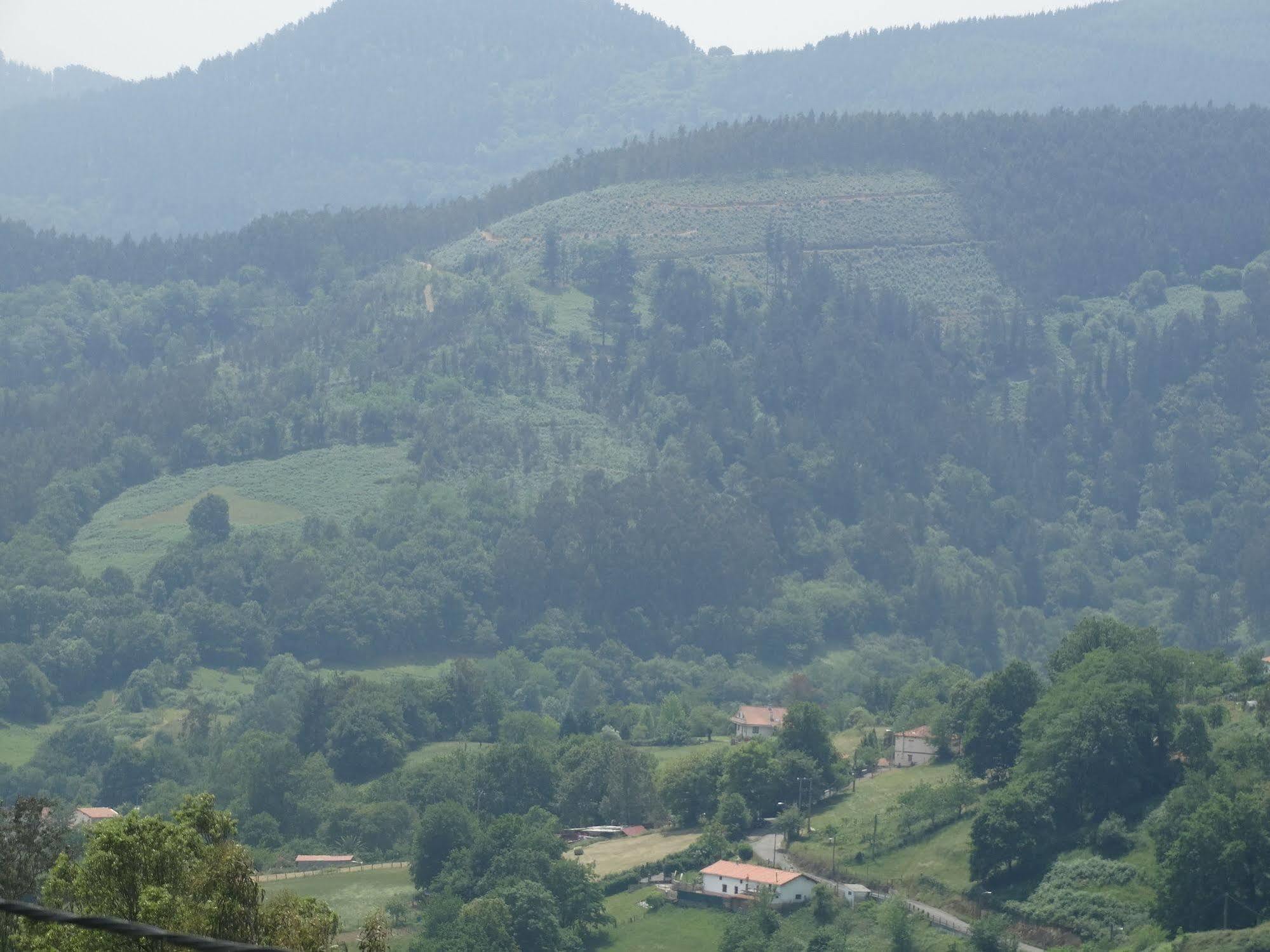 Pensjonat Urrezko Ametsa Sopuerta Zewnętrze zdjęcie